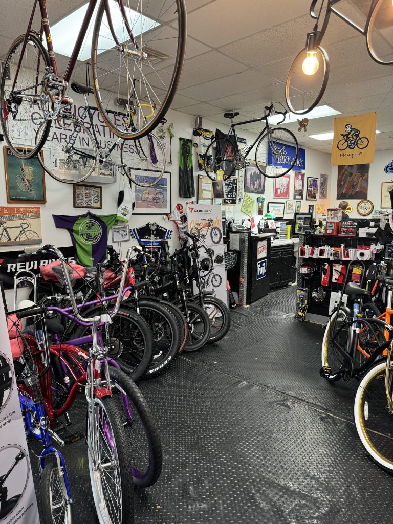 All Bicycles photo 8