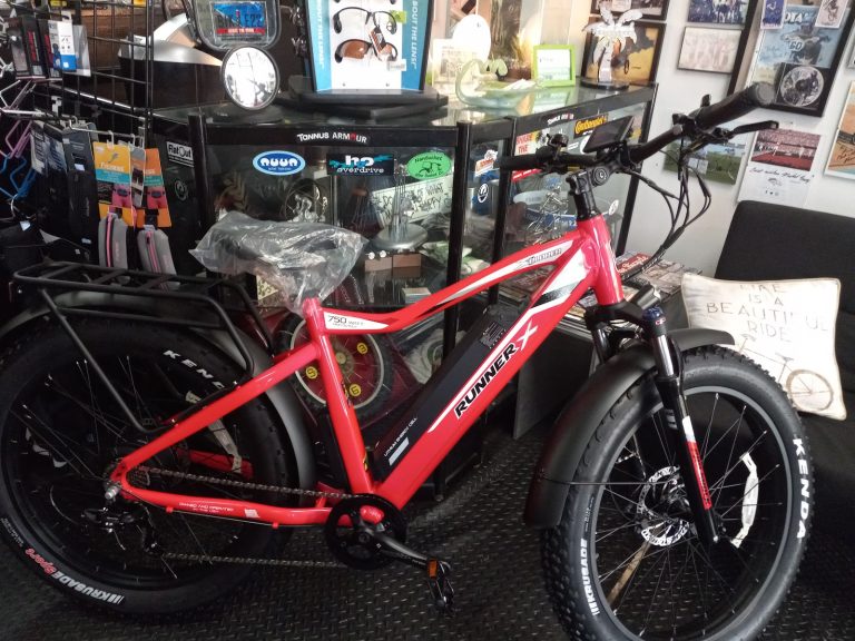 All Bicycles photo 6