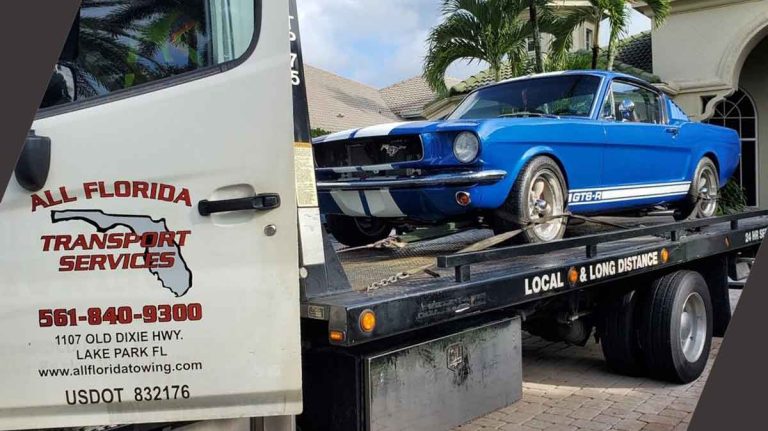 All Florida Towing photo 1