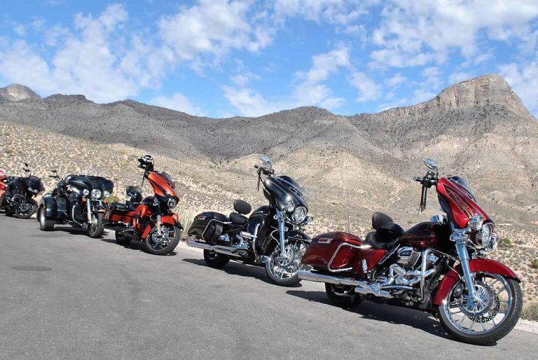 APEX Baggers Motorcycle Co. Inc photo 4