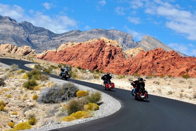 APEX Baggers Motorcycle Co. Inc photo 5