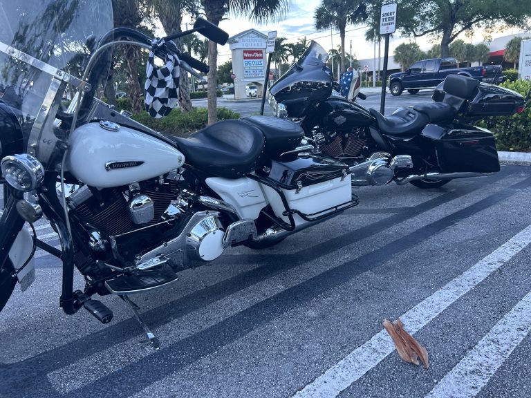 Delray Cycle photo 5
