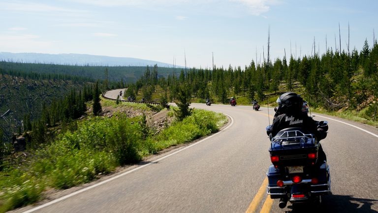 EagleRider Motorcycle Rentals and Tours Jacksonville Harley-Davidson photo 1