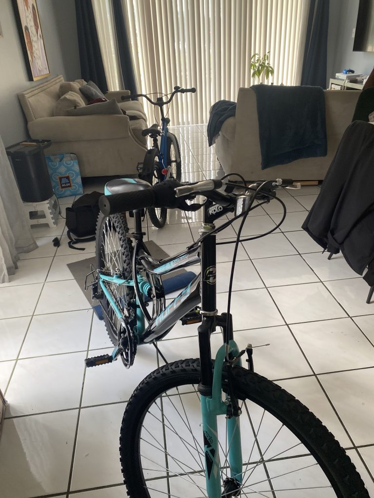 Evol Customs Bicycle, E-bike and E-scooter repair photo 5