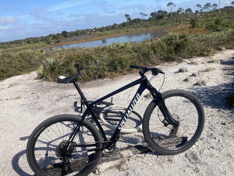 Real Deal Bicycles photo 10