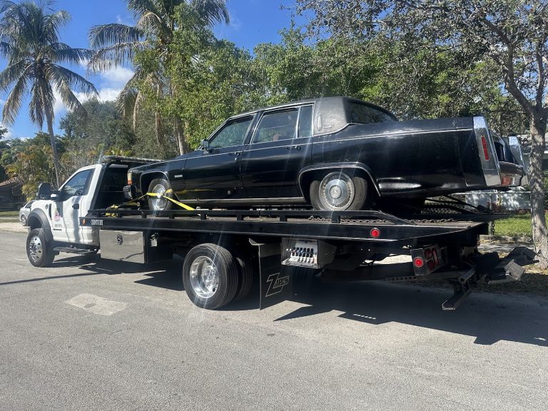 Servigruavila Towing photo 5